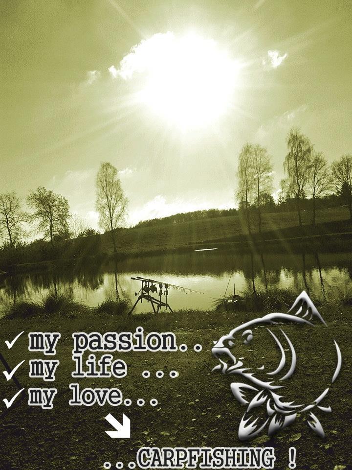 Messages - 146744262695775402906625392465n-1.jpg